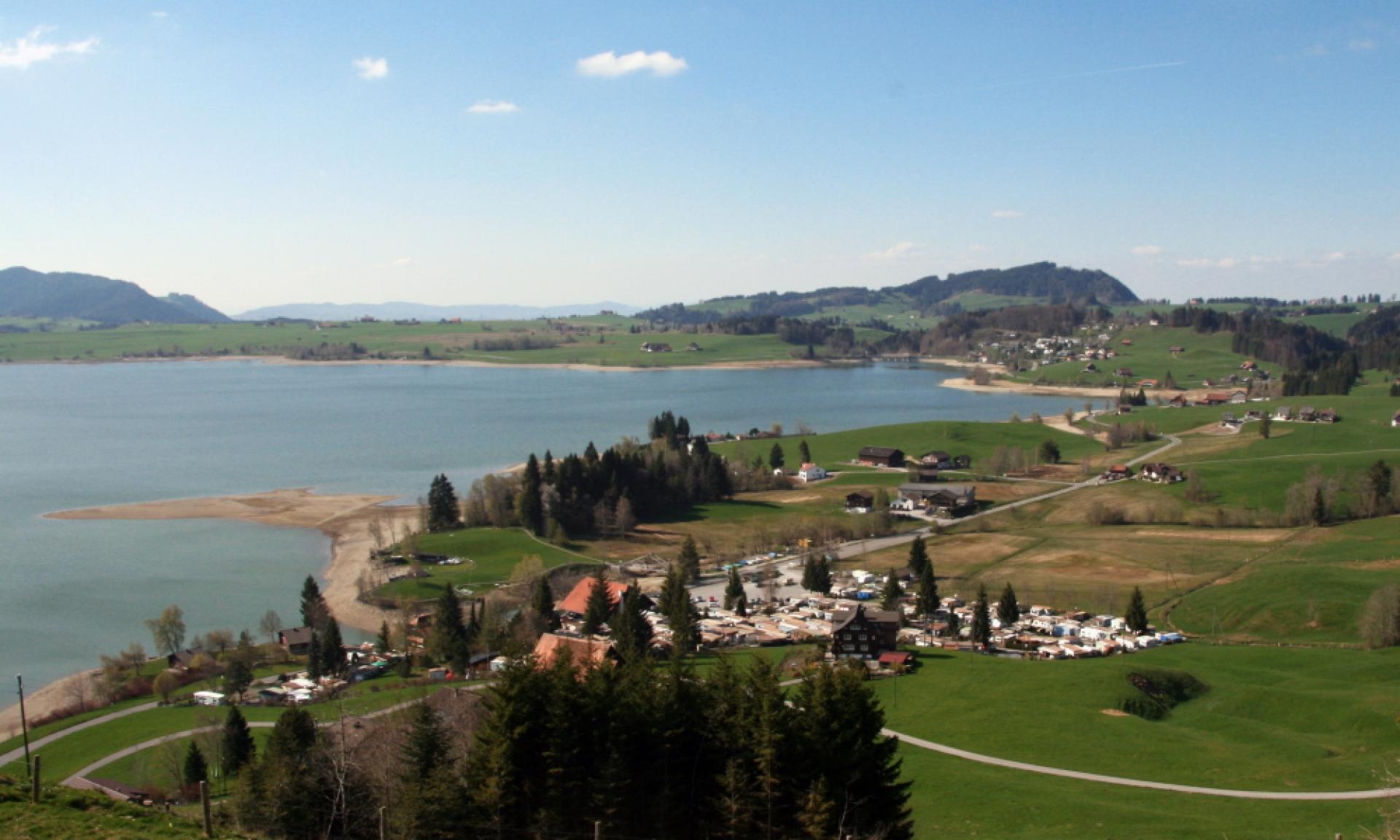 Grüene Aff