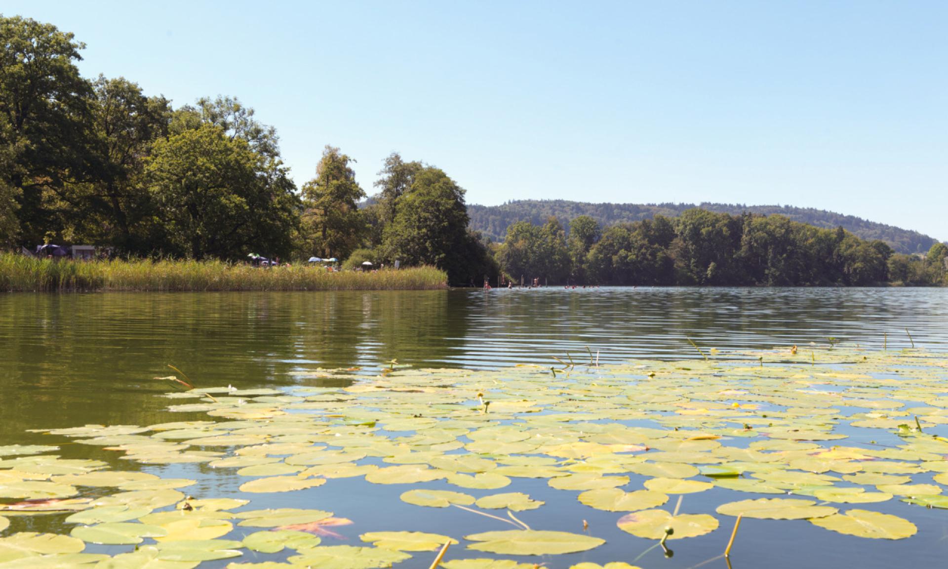Katzensee