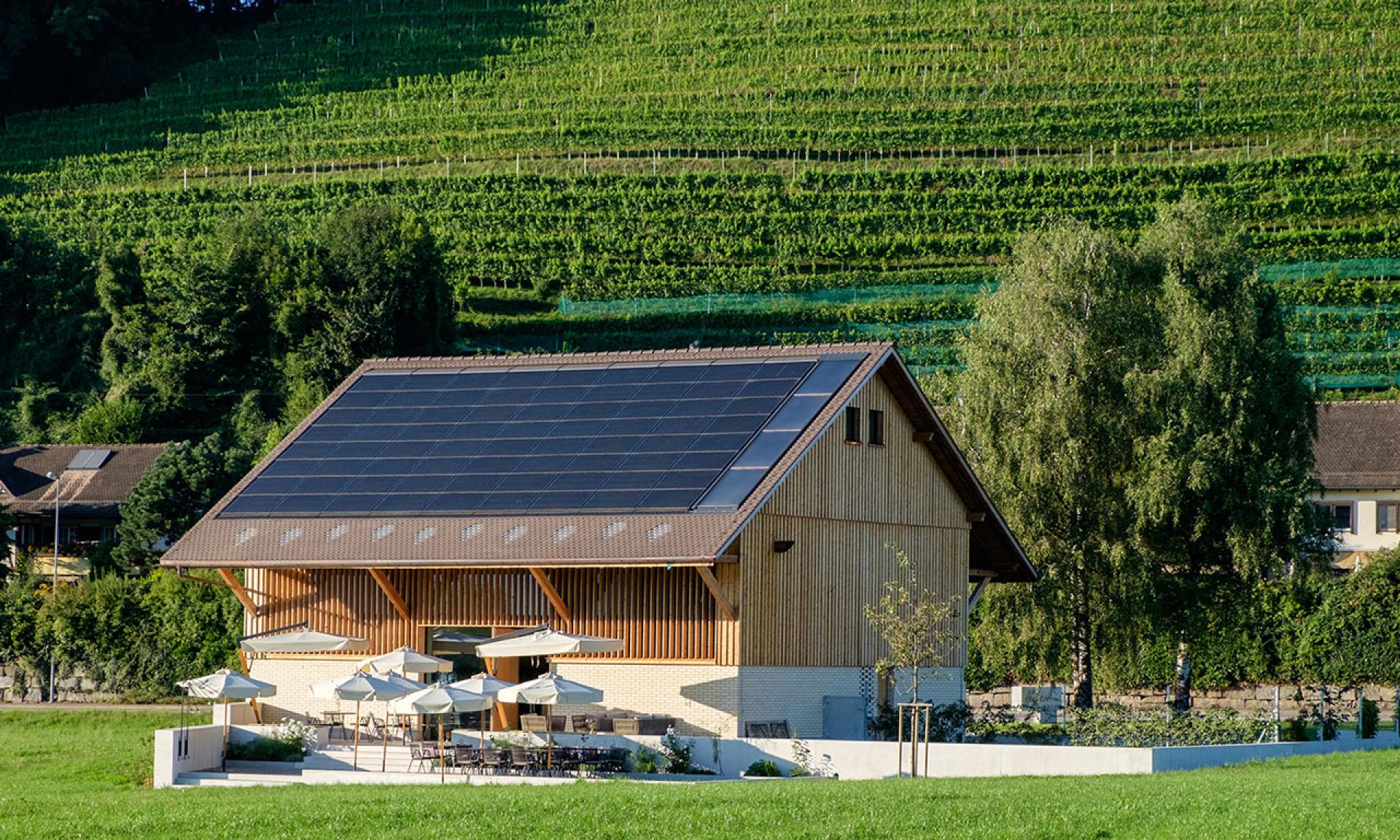 Weingut Höcklistein