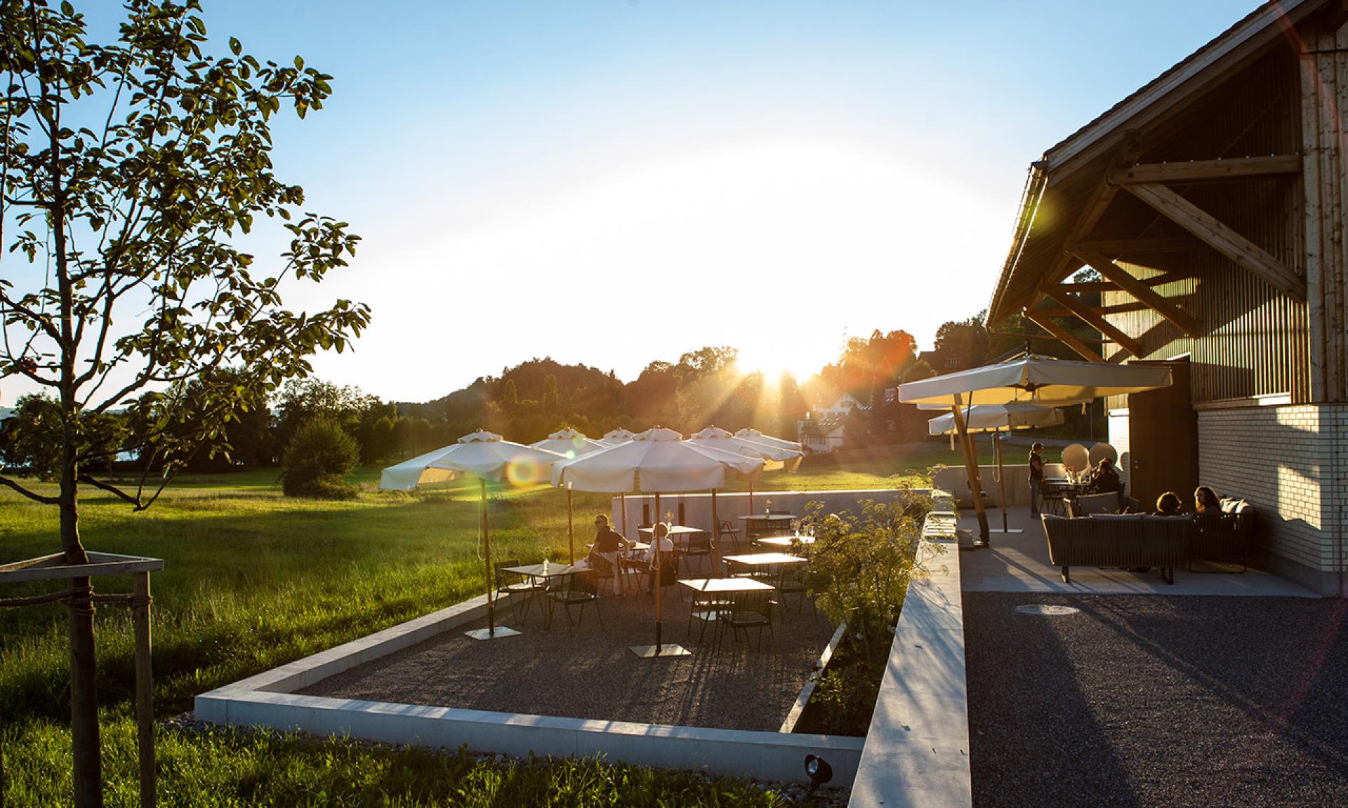 Weingut Höcklistein, Terrasse