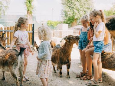 Kinder streicheln und spielen mit Ziegen