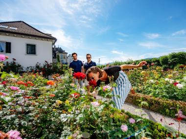 Bei der Führung durch die Rosengärten von Rapperswil entdeckt man vieles