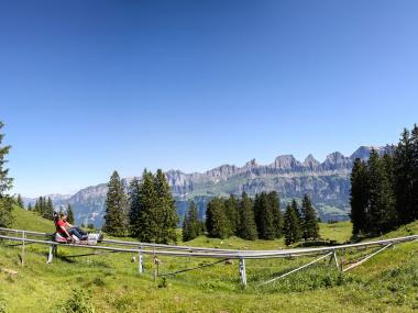 The Mountain Flumserberg in Summer