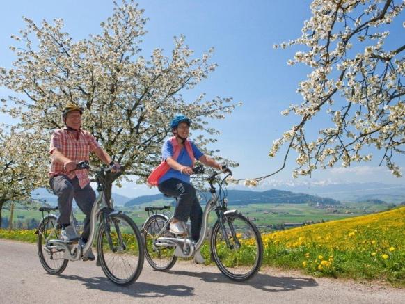 E-Bike Einsiedeln