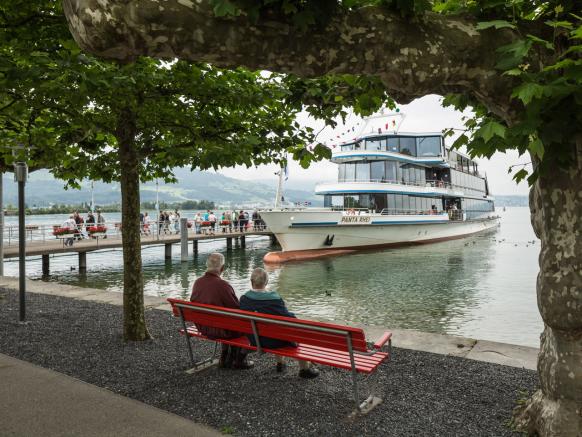 Rapperswil mit dem Schiff