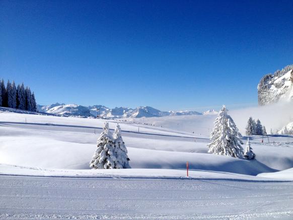 Skilift Brunni, Skifahren in Alpthal SZ