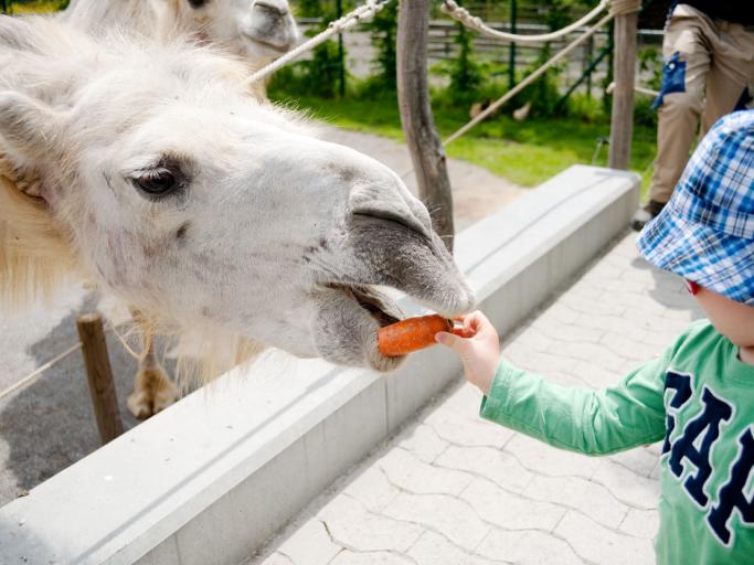 Knies Kinderzoo